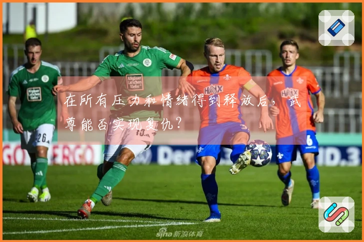 在所有压力和情绪得到释放后，武尊能否实现复仇？