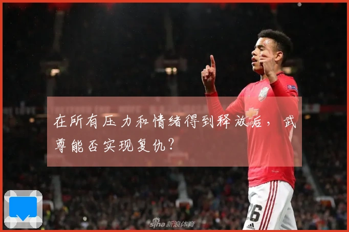 在所有压力和情绪得到释放后，武尊能否实现复仇？