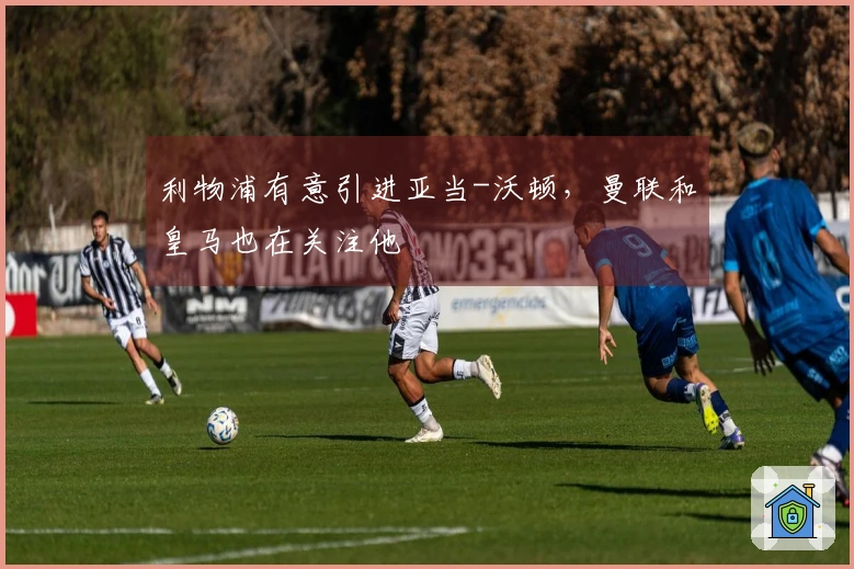 利物浦有意引进亚当-沃顿，曼联和皇马也在关注他