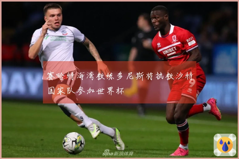 赛哈特海湾教练多尼斯将执教沙特国家队参加世界杯